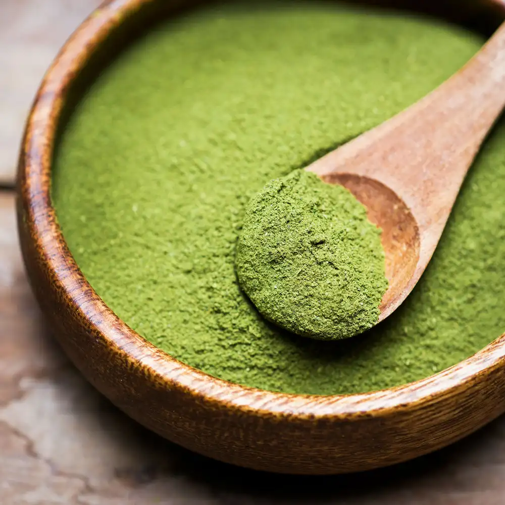 Moringa powder