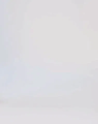 vegetable leather sneakers