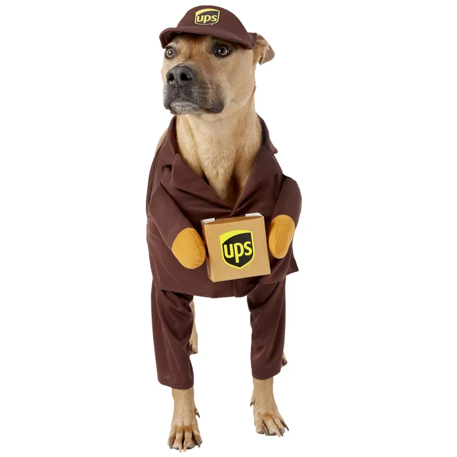 10 Must-Have Pet Halloween Costumes that Will Get All the Giggles