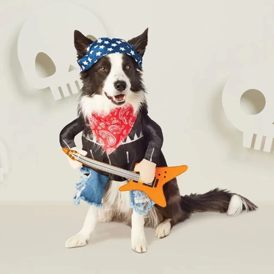 10 Must-Have Pet Halloween Costumes that Will Get All the Giggles
