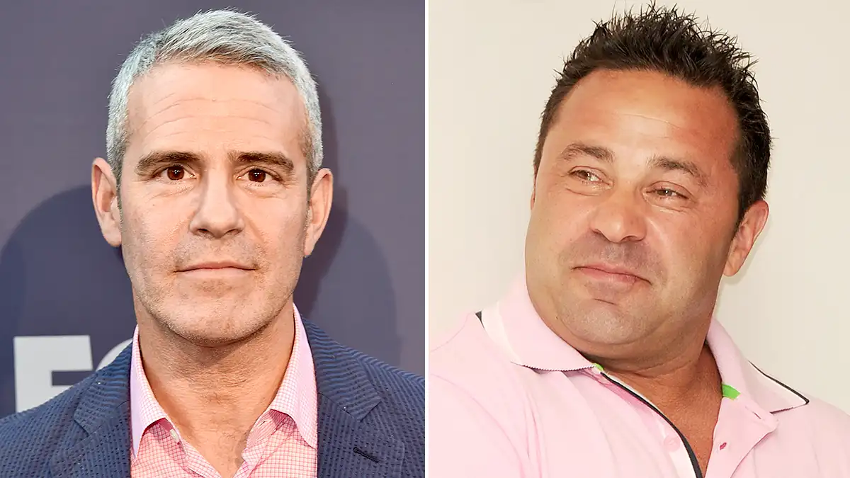 Andy Cohen Joe Giudice deportation