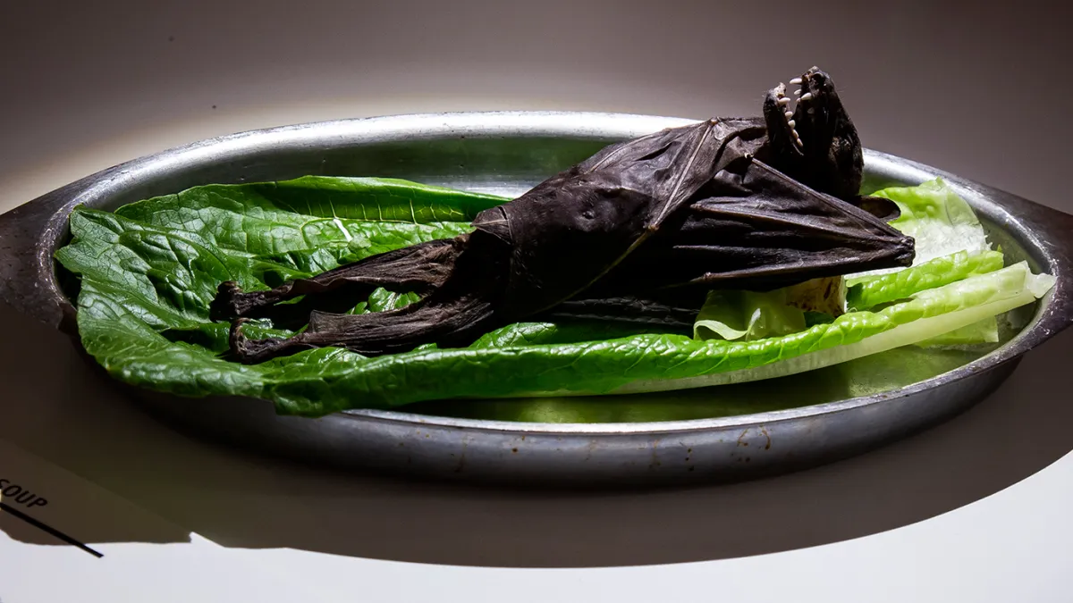 Sweden Disgusting Food Museum