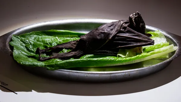 Sweden Disgusting Food Museum