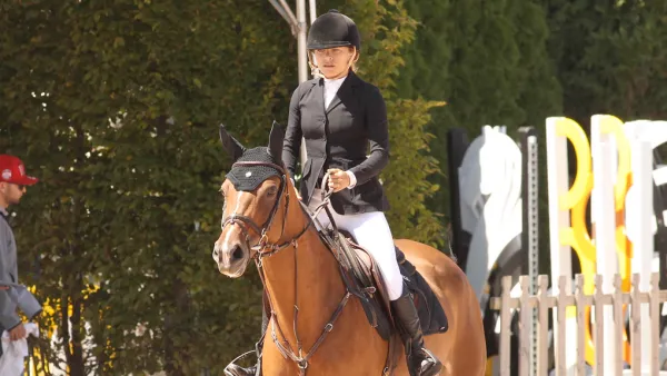 Mary-Kate Olson Equestrian Boot