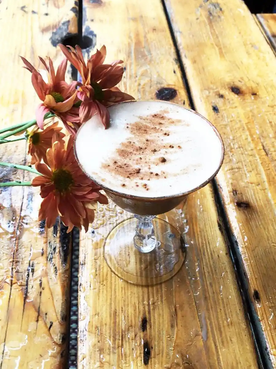 Melissa Joan Hart Halloween Recipes Basic Witch Vanilla Vodka Cocktail