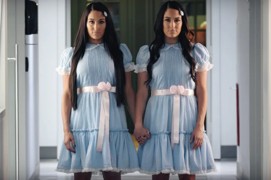 Nikki Bella, Brie Bella, Halloween 2018