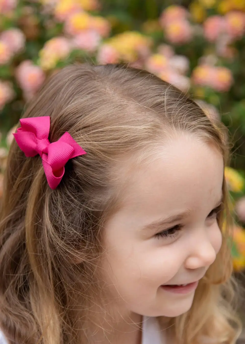 PHL Bows Set of 3 Wee Bow Hair Clips