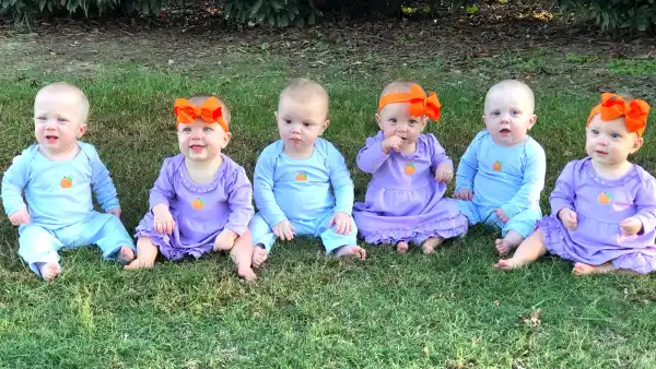 Sweet Replica Luxury Handbag Sextuplets