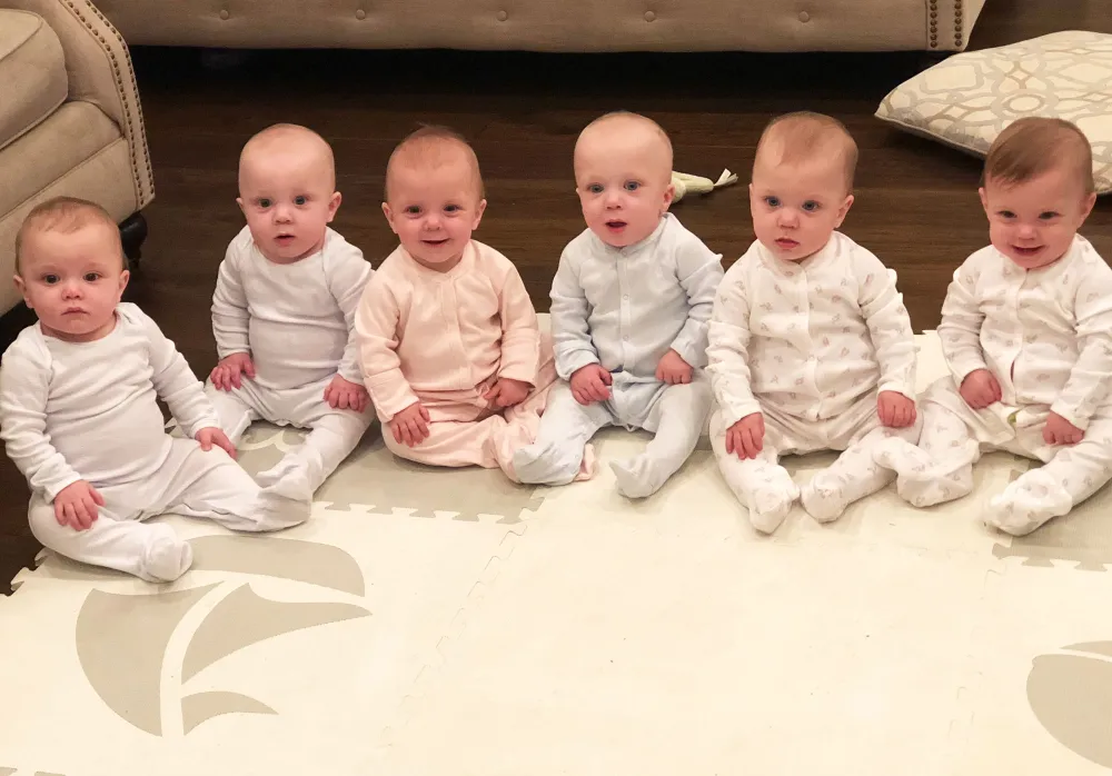 Sweet Replica Luxury Handbag Sextuplets