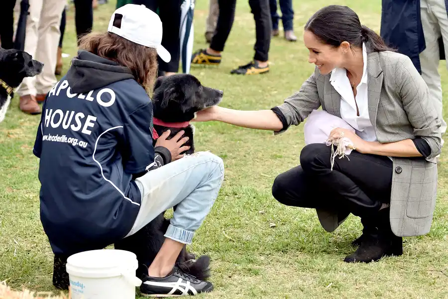 duchess-meghan-dog