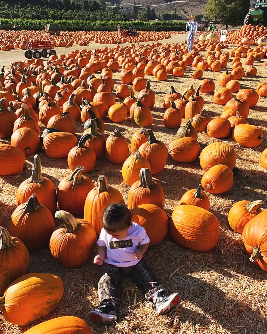 Kylie Jenner Travis Scott Stormi Pumpkin Patch