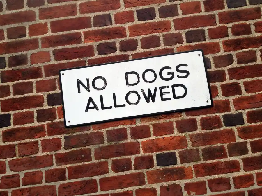 No Dogs Allowed sign
