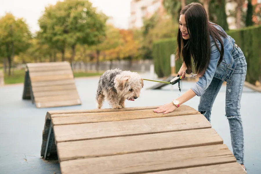 Woman training dog in circuit.