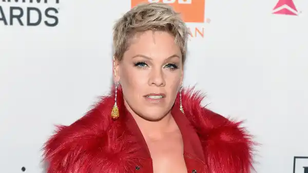 Pink Mourns the Loss of Her Beloved Dog