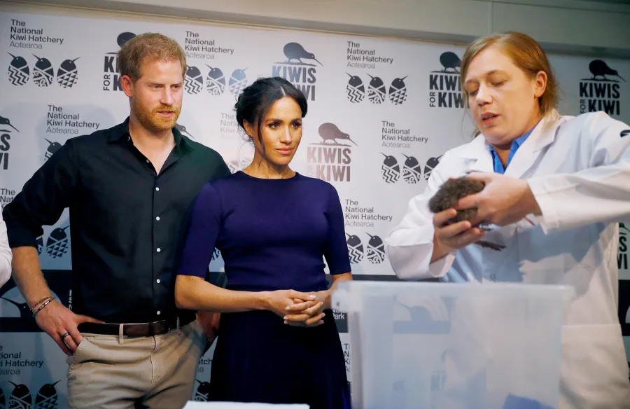 prince-harry-duchess-meghan-New-Zealand