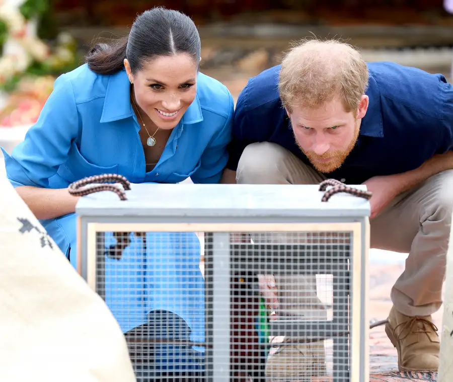 prince-harry-duchess-meghan-tonga