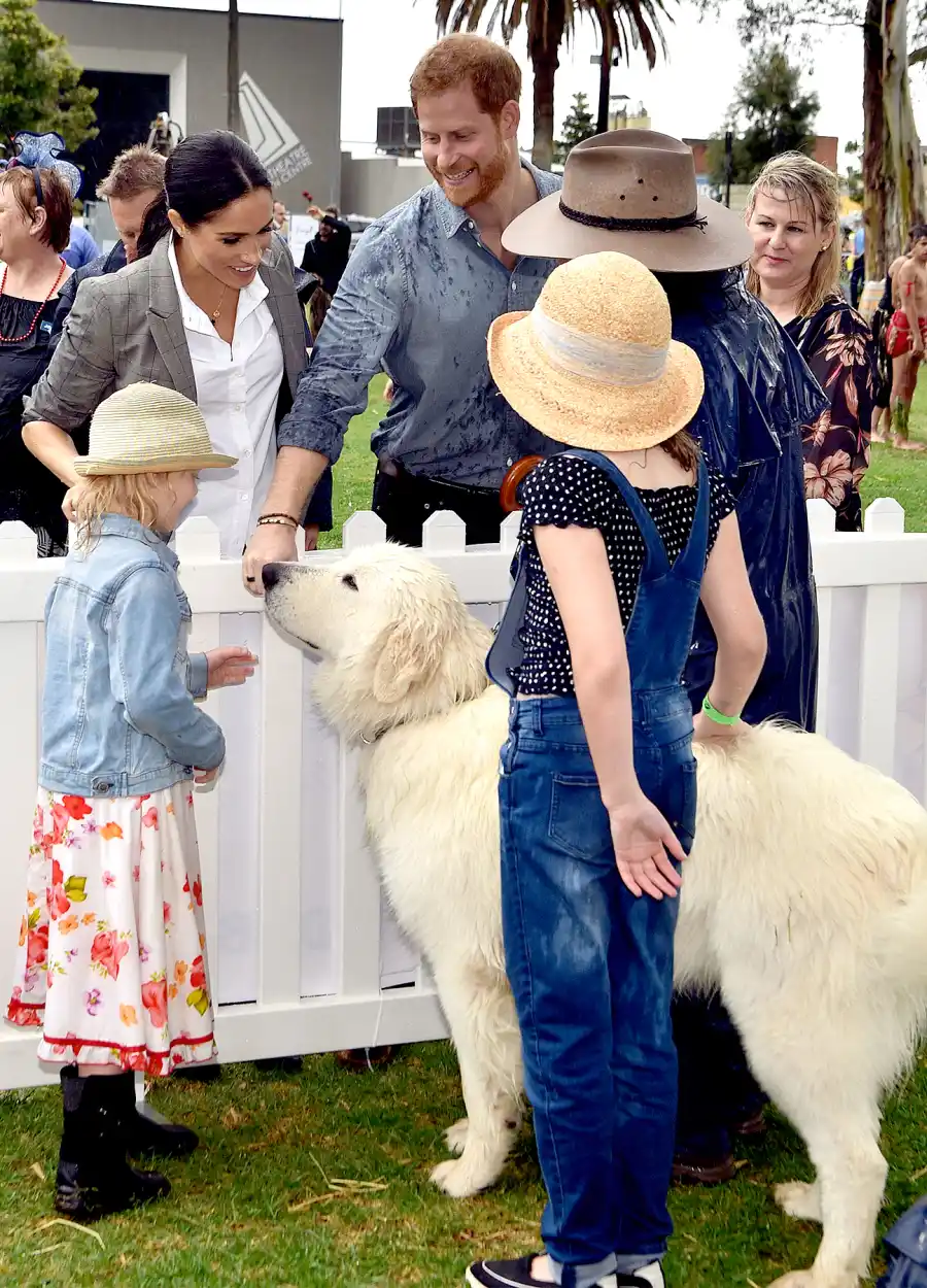 prince-harry-meghan-dog