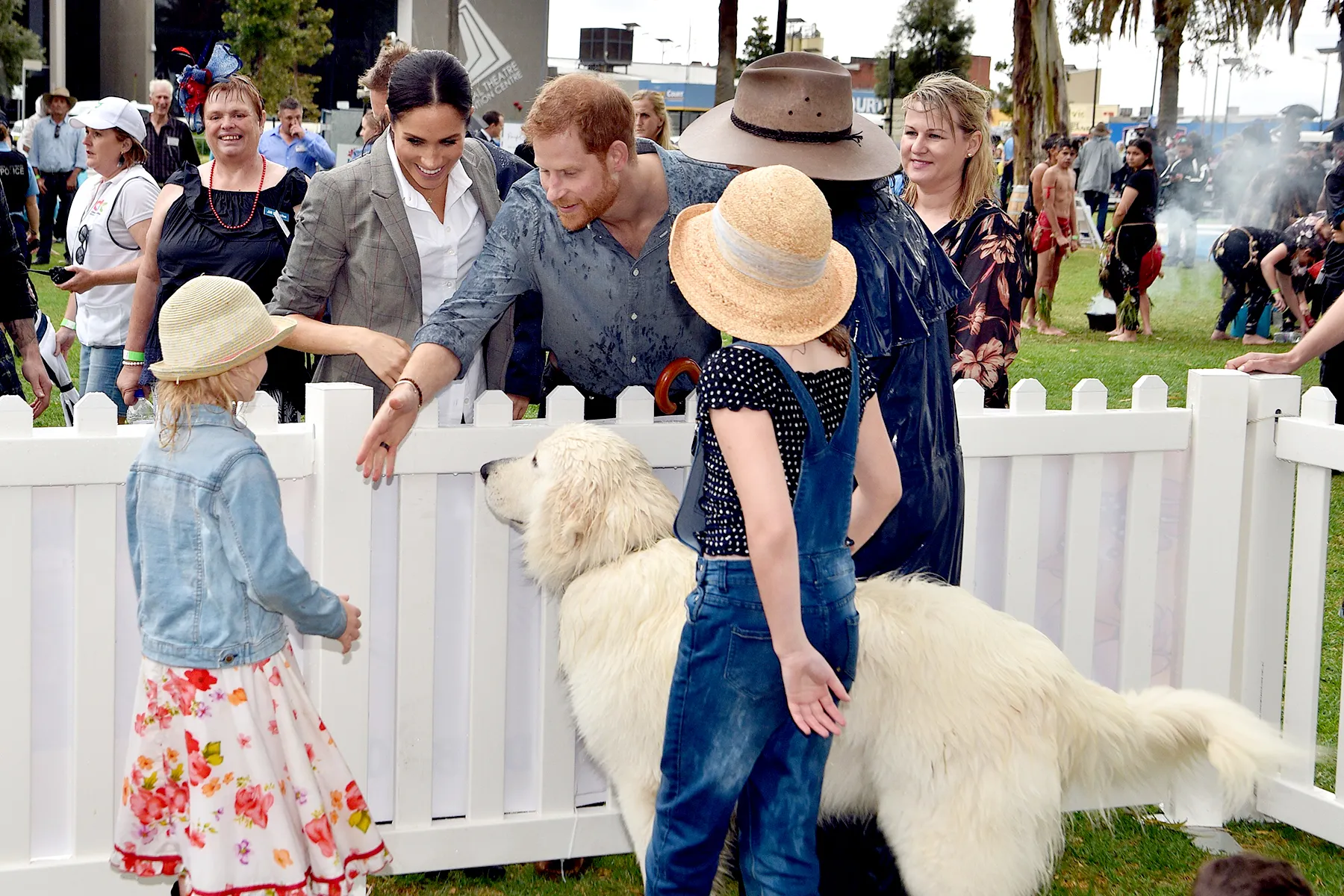 prince-harry-meghan-dog