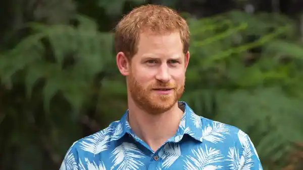 Prince Harry Says ‘Everyone Is Predicting’ Pregnant Duchess Meghan Is Having a Girl