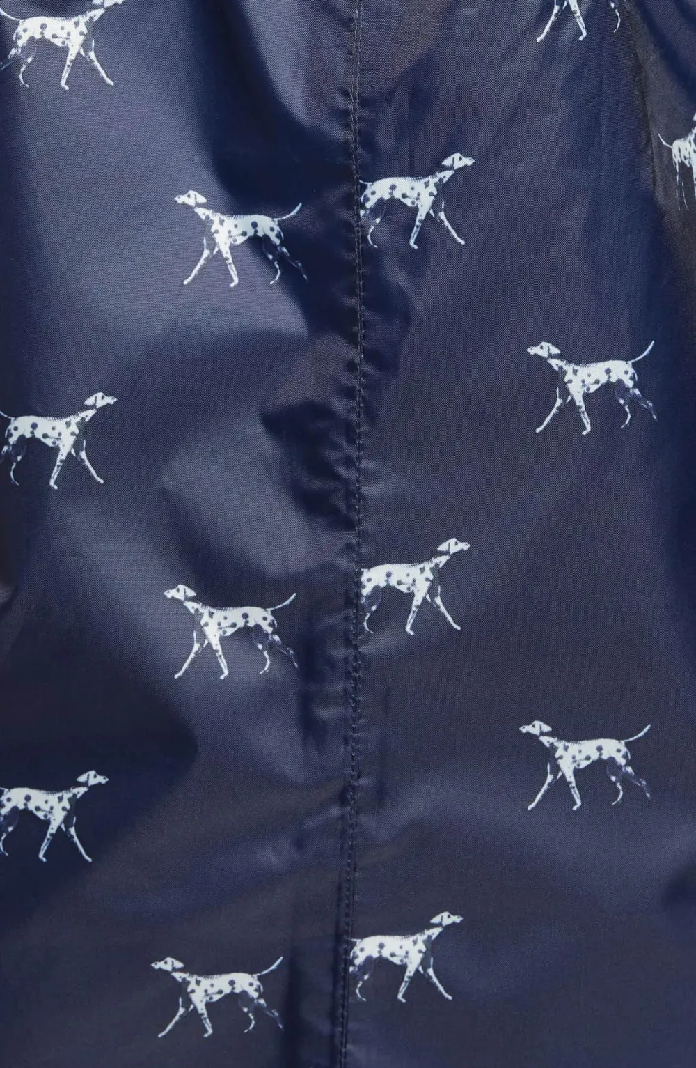 raincoat dalmation dog print hooded nordstrom