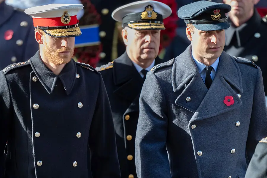 Prince Harry, Prince William, Royal Family, Wreath, Cenotaph, Remembrance Sunday