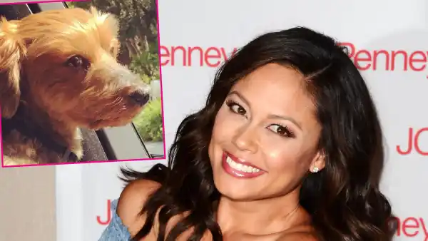 Vanessa Lachey Wookie