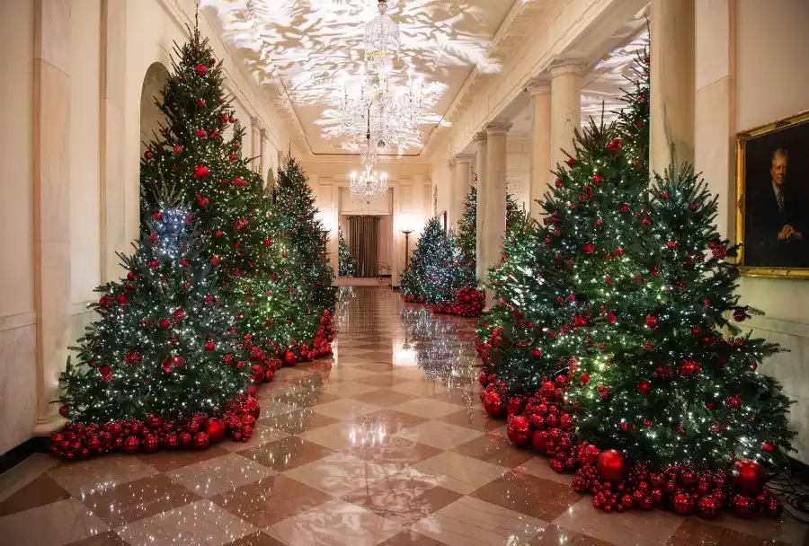 White House Decoration