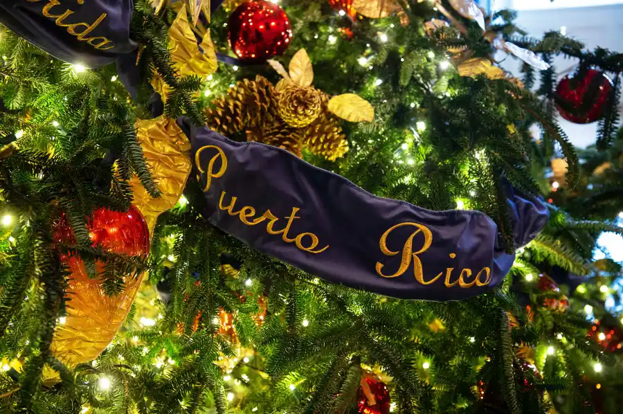 White House Decoration