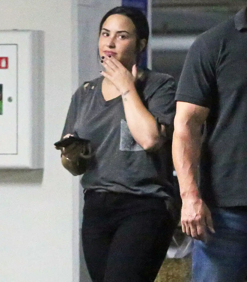 Demi Lovato Shuts Down Fan