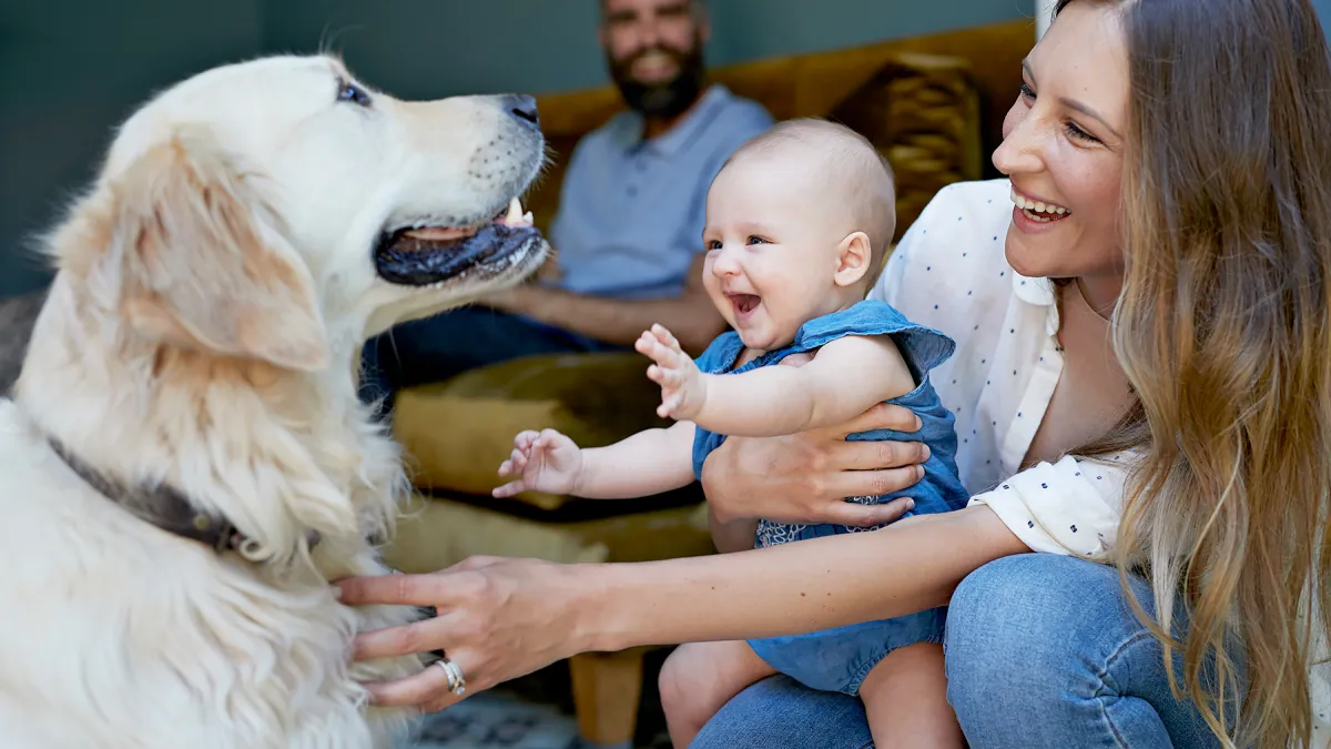 Dog with baby