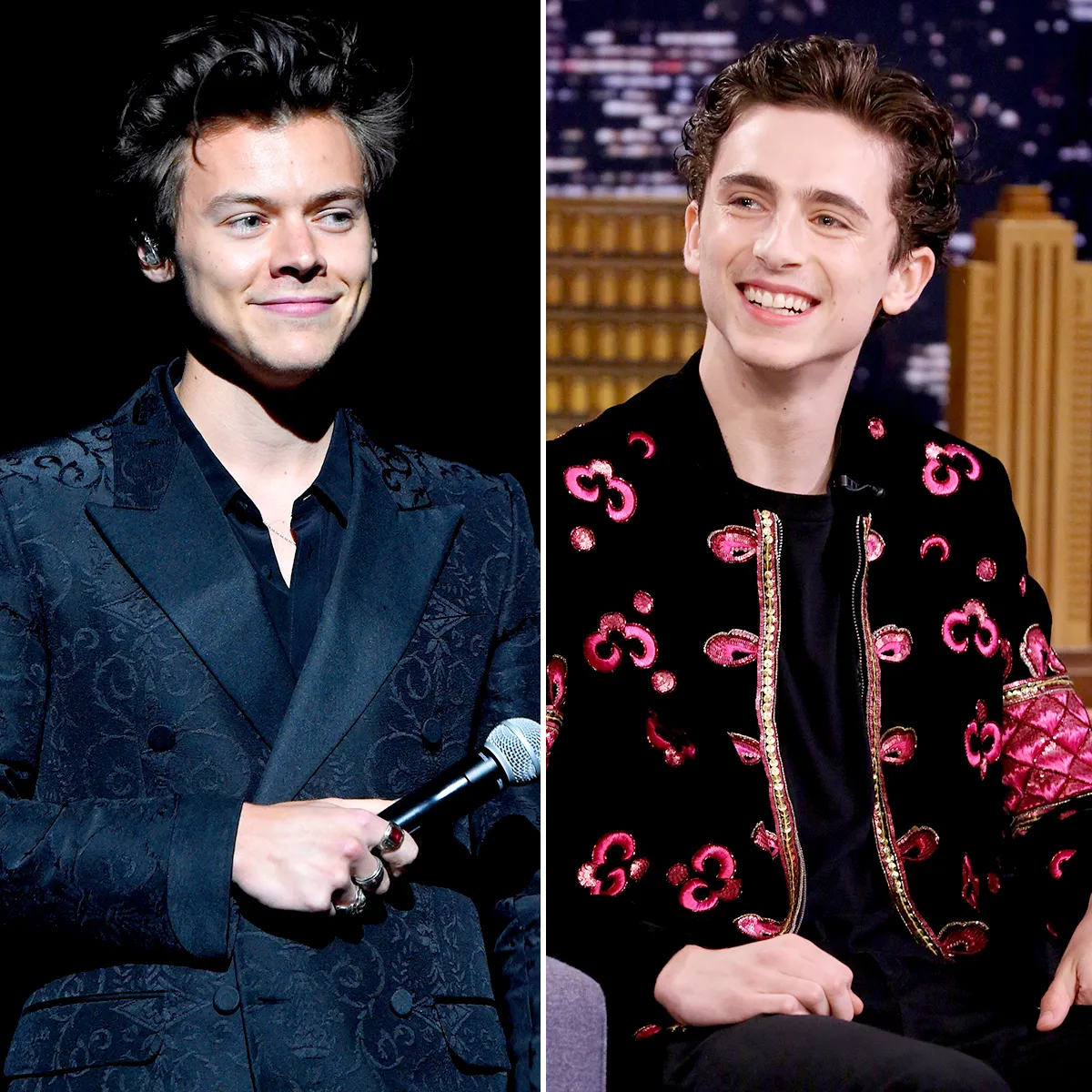 Harry Styles and Timothee Chalamet