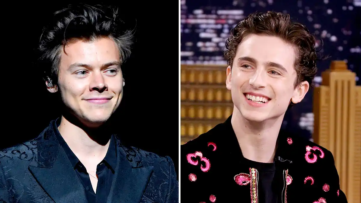 Harry Styles and Timothee Chalamet