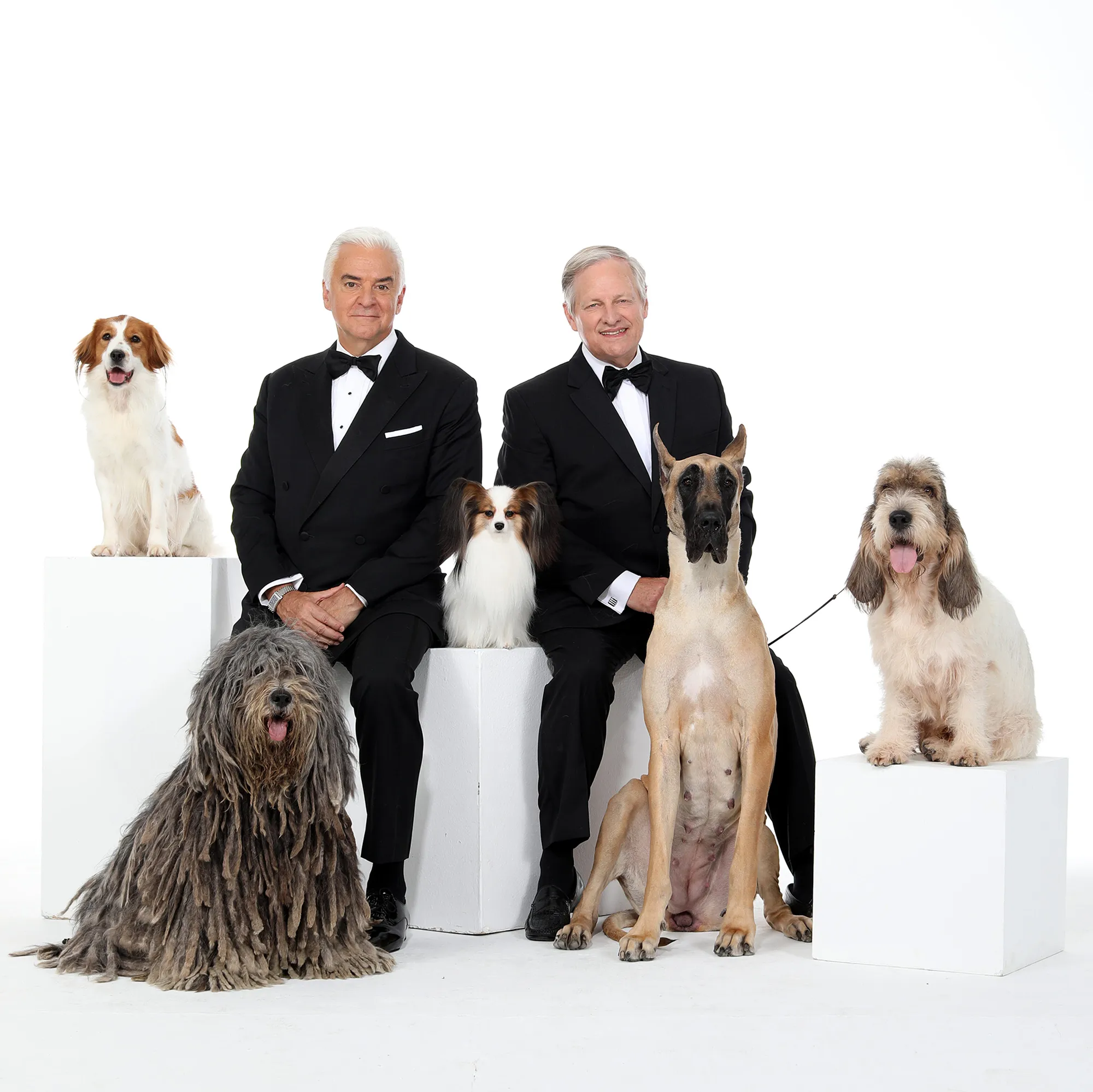 How to Watch the 2018 National Dog Show — And What to Expect!