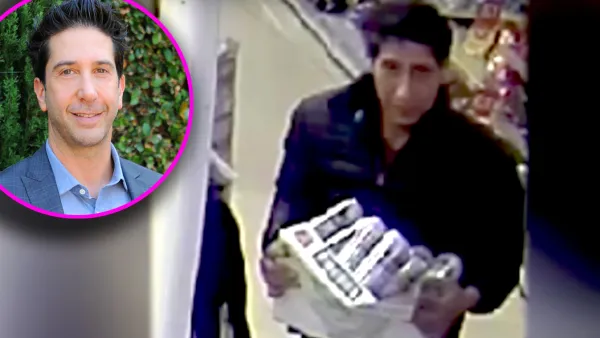 David Schwimmer look alike arrested