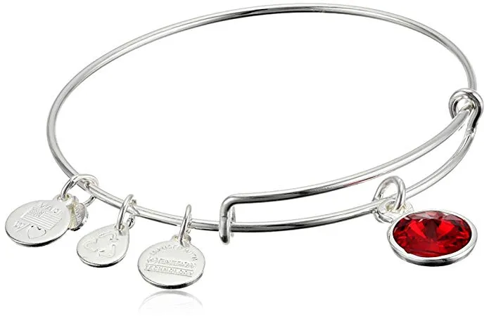 Alex and Ani Bangle Bar Imitation Birthstone Bangle Bracelet