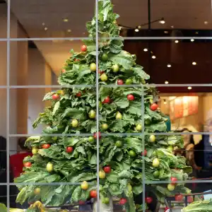 Chipotle Celebrates Holidays With Festive Window Display Built From Real Ingredients