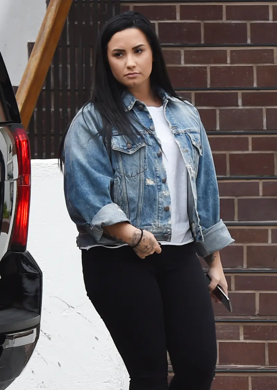 Demi Lovato Rehab