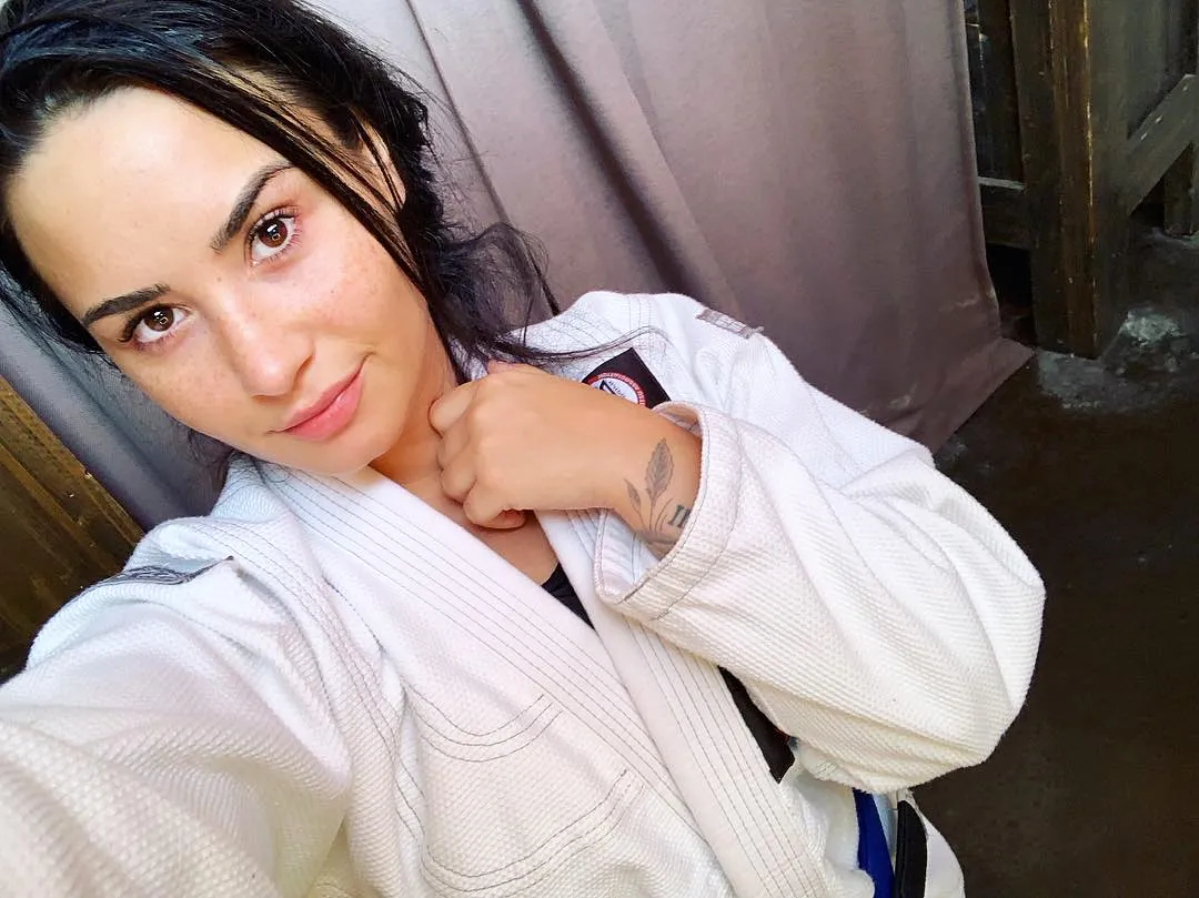 Demi Lovato Shares Jiu Jitsu Photo After Rehab Never Give Up