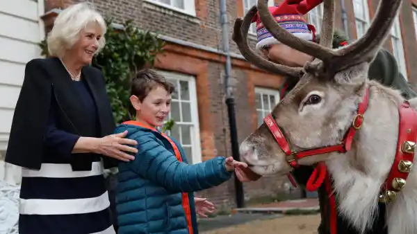 Duchess Camilla Hosts Christmas Event for Sick Children