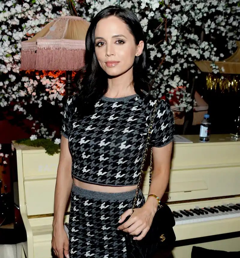 Eliza-Dushku-Michael-Weatherly-Bull-harrassment