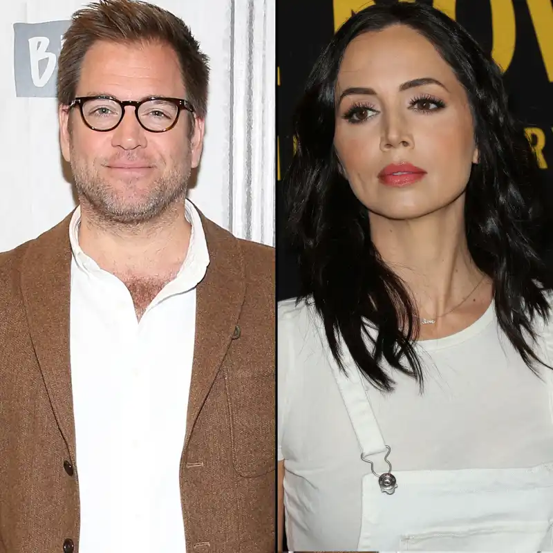 Michael Weatherly Eliza Dushku