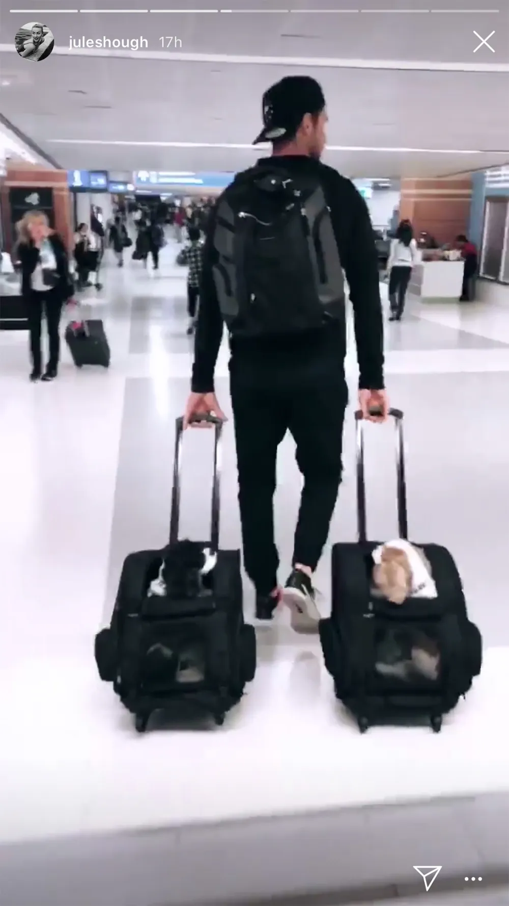 Julianne Hough's Dogs Love Holiday Lights Even More Than Us