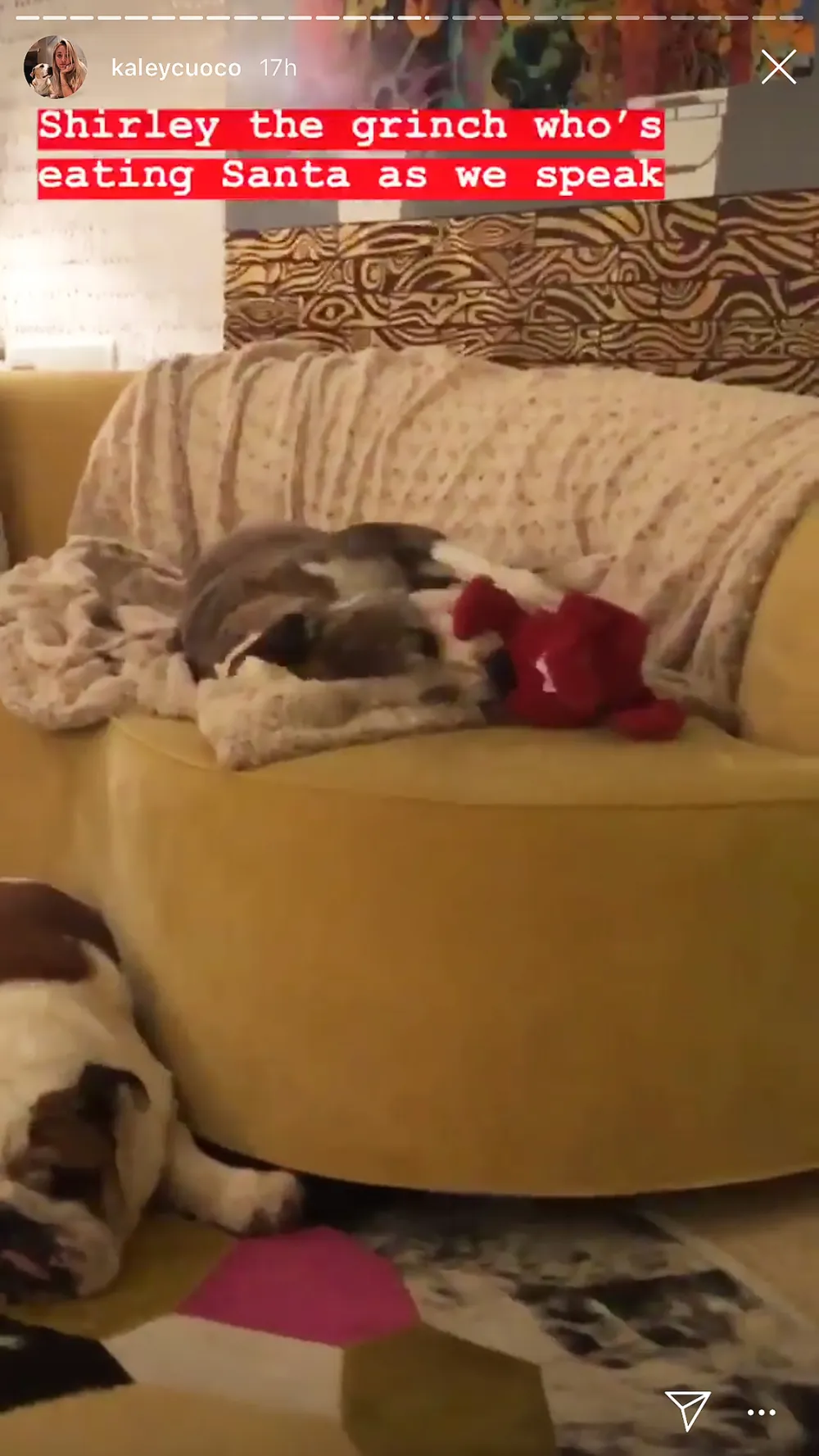 Kaley Cuoco Calls Her Dog Shirley 'The Grinch Who Ate Santa' for Chewing Up Santa Toy 'Aggressively'