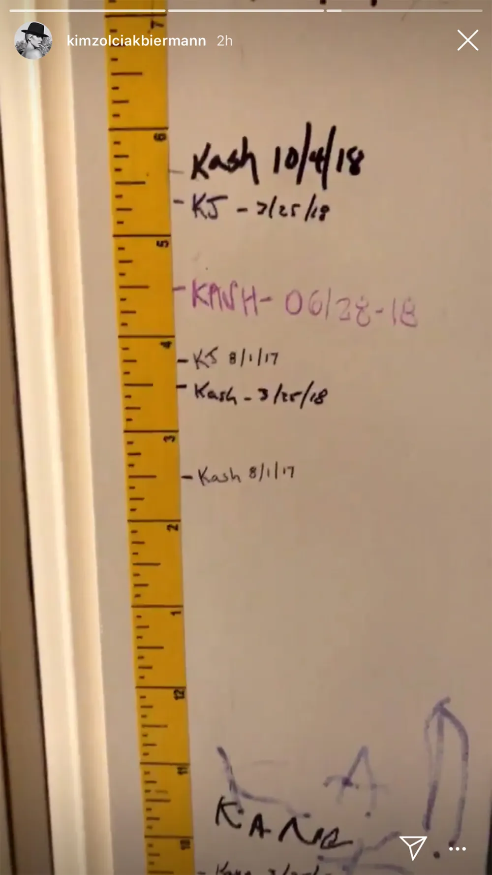 Kim Zolciak-Biermann Slammed By Fans After Sharing Photo of 6-Year-Old Son Kash in Car-Seat