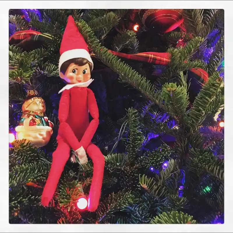 These celebrities are winning at elf on the shelf