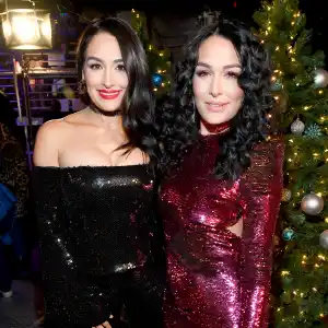 Nikki-and-Brie-Bella