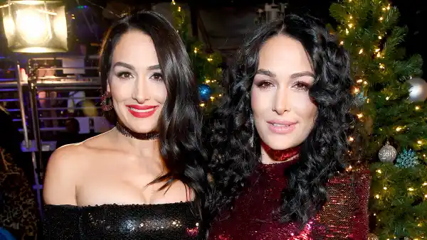 Nikki-and-Brie-Bella