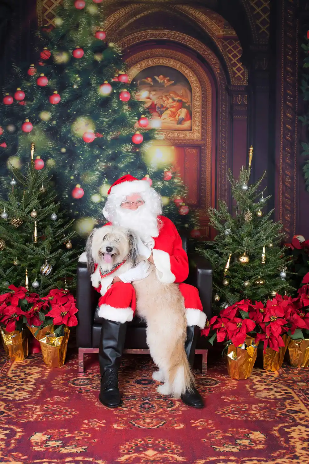 Pet-to-Pose-with-Santa