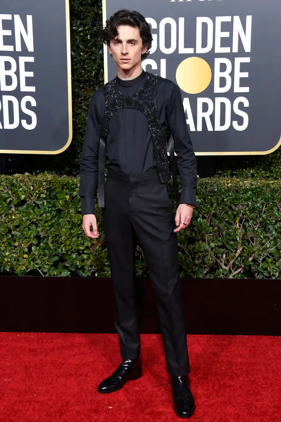 7 Hottest Hunks on the 2019 Golden Globes Red Carpet