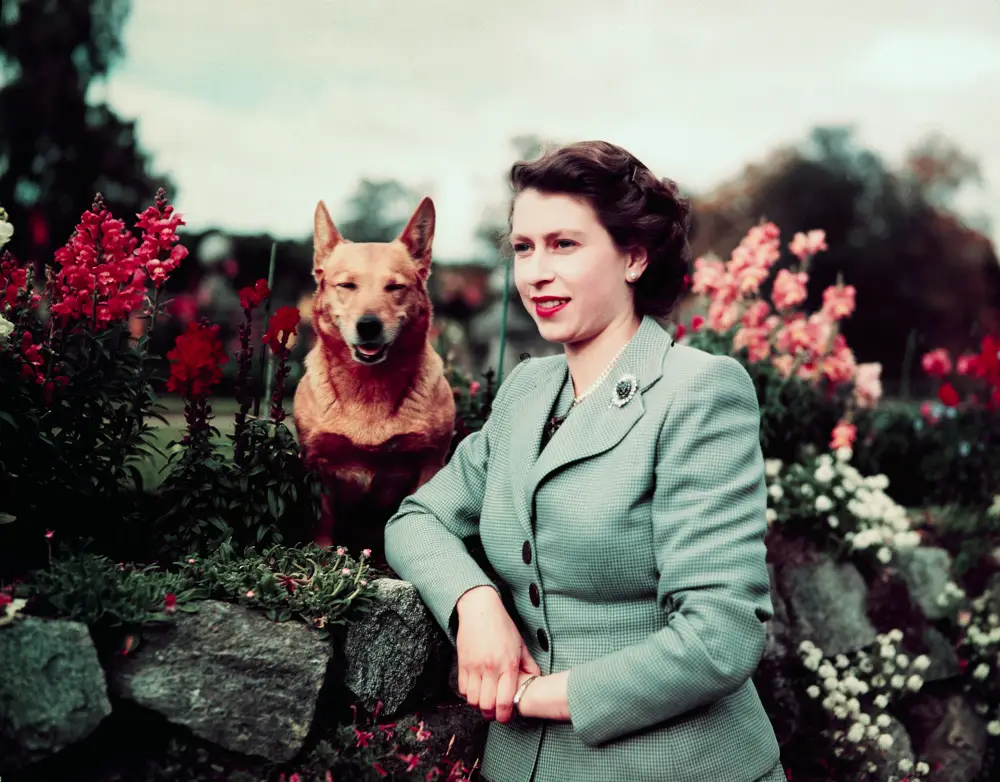All About Queen Elizabeth II&rsquo;s Love for Animals